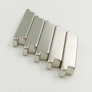 ヘテロタイプの磁石